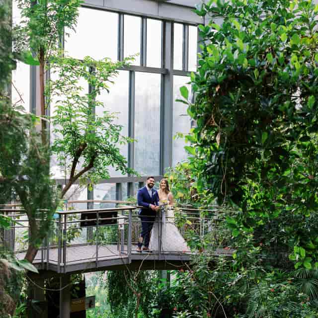 Butterfly House at Texas Discovery Gardens, perfect for romantic weddings and upscale events.