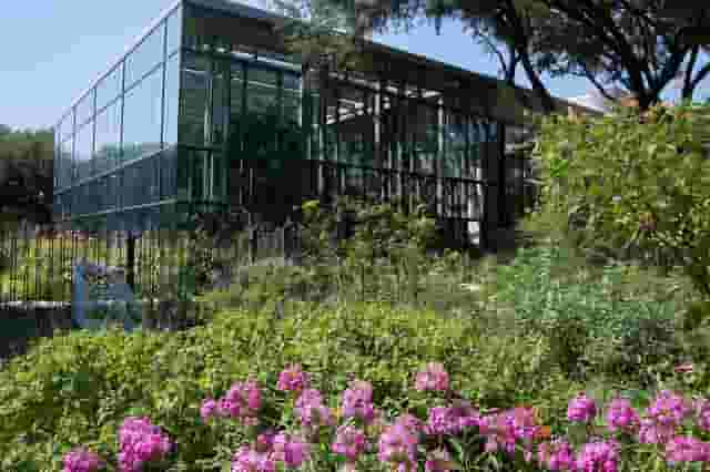 Butterfly House