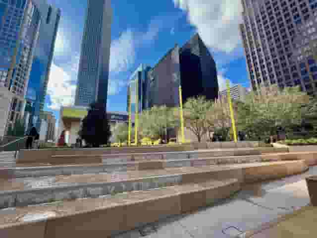 Lynn Wyatt Square