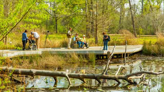 Professionals at Houston Arboretum for nature photography workshop by water.