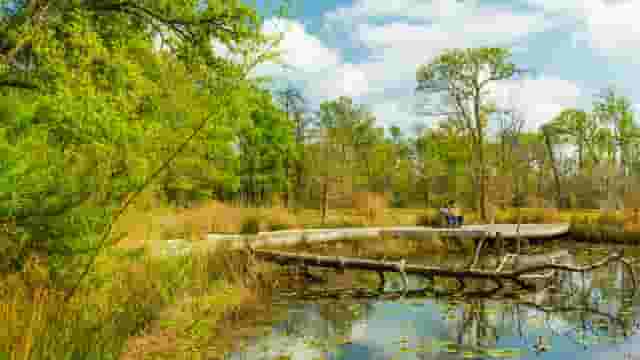 Nature Center grounds