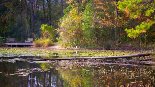 Nature Center grounds