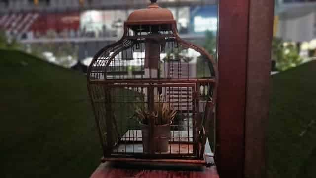 Rooftop Cocktail Bar