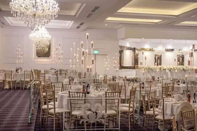 Delphinium Room