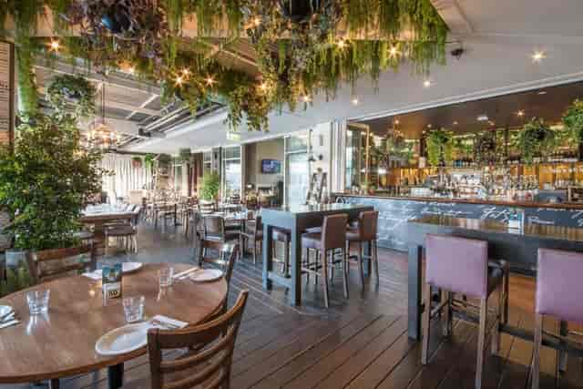 Alcove deck at The Cove Hotel: elegant event space with lush greenery for gatherings.