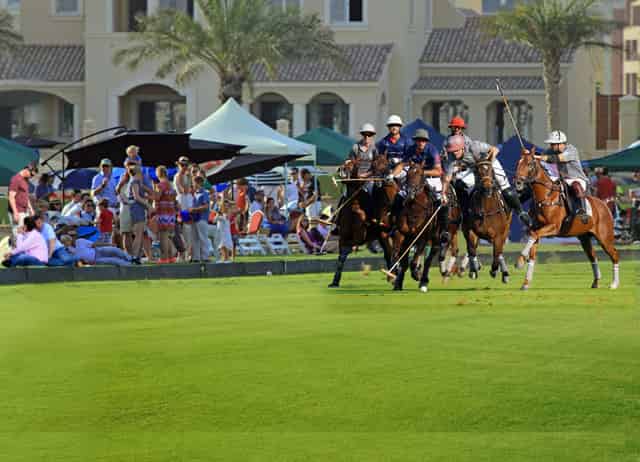 Luxury Stables