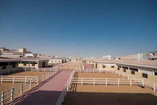 Luxury Stables at Al Habtoor Polo Club, ideal for equestrian events and team-building activities.