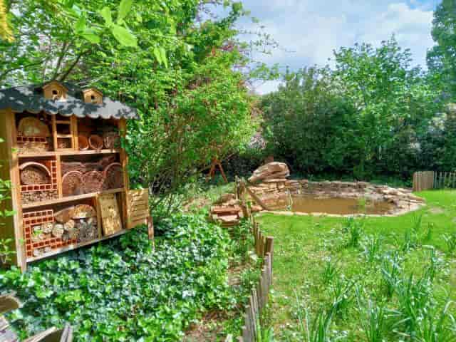 Serene garden at CISL with pond, ideal for wellness retreats and team-building events.