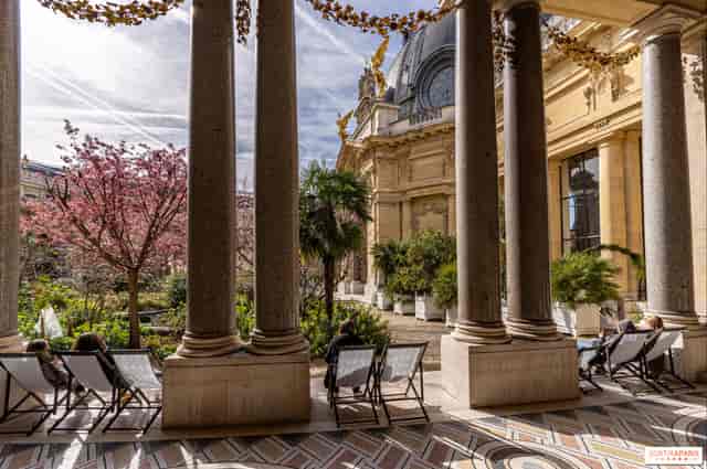 Elegant courtyard at Petit Palais, surrounded by greenery and cherry blossoms for events.