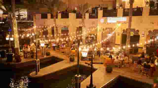 Outdoor Garden - Mezzanine