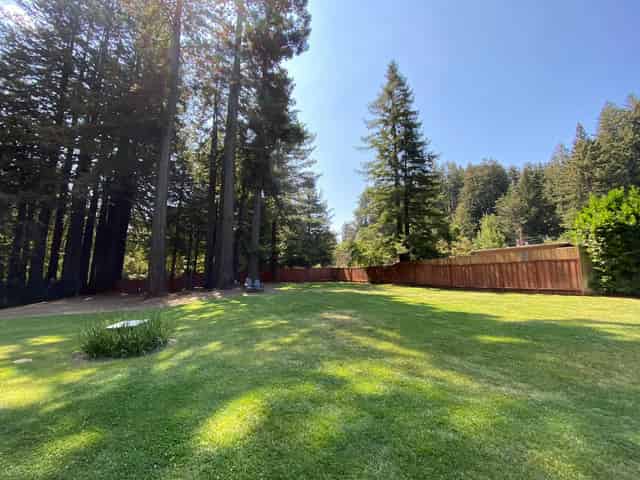 Redwood Deck