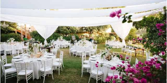 The Green Veranda