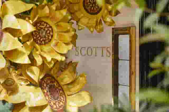 Scott’s