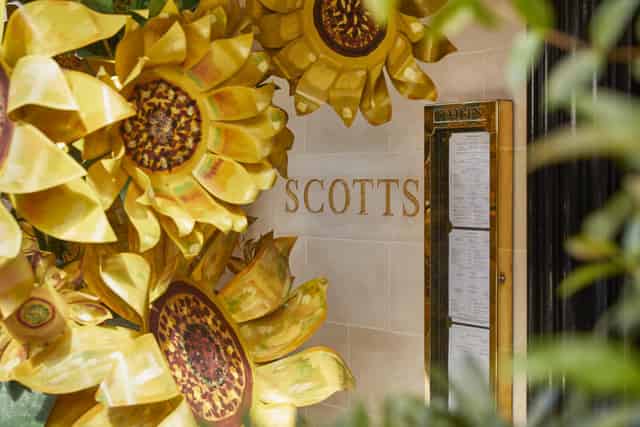 Scott’s