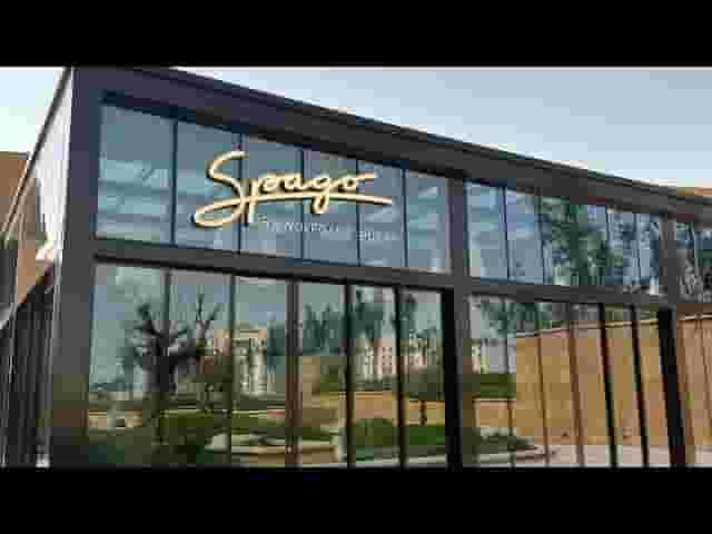 Spago