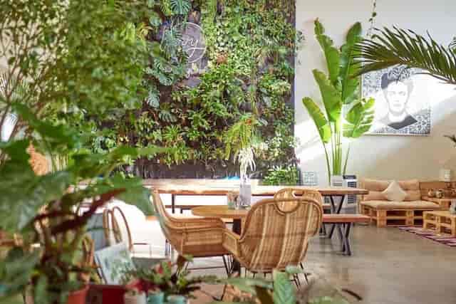 Art cafe in Ivy's Secret Garden with lush vertical wall, perfect for events and workshops.