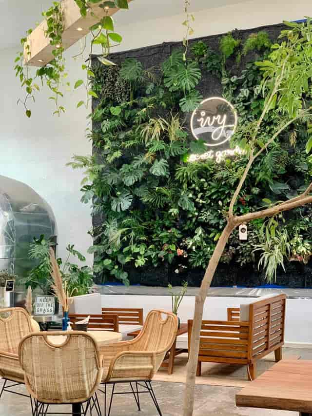Vibrant living wall in Ivy's Secret Garden, ideal for networking events and meetings.