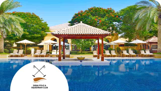 Pool Lawn