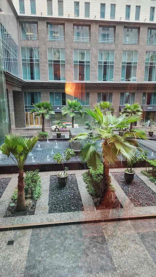 Serene outdoor event space with palm trees at The Ritz-Carlton, Dubai for receptions.