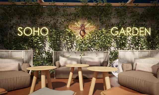 Soho Garden nightclub lounge with greenery, ideal for networking events and casual gatherings.