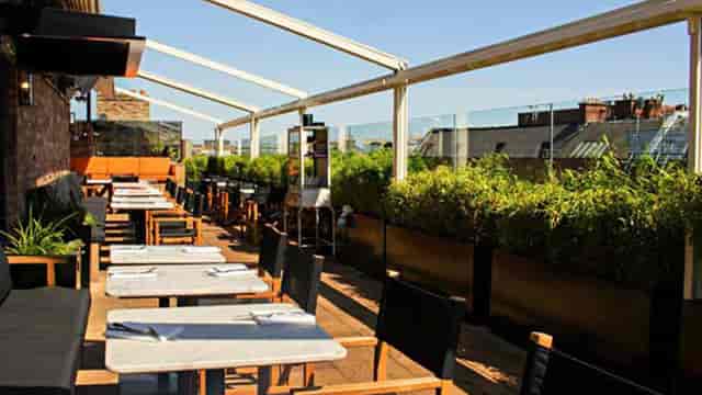 Stylish rooftop terrace with greenery for outdoor meetings and events at Sophie’s Restaurant.