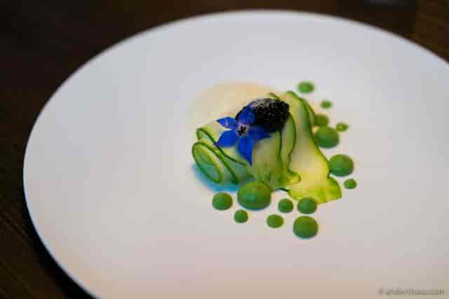 Elegant appetizer, cocktail reception, tasting menu