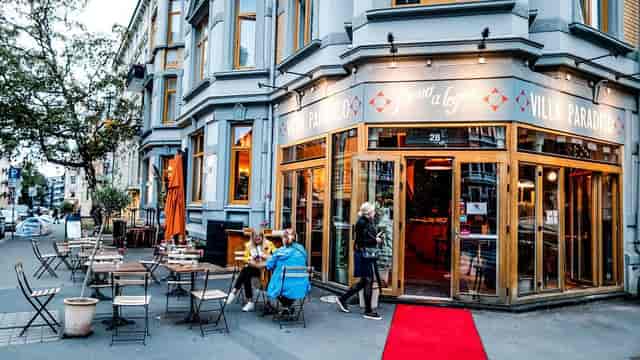 European cafe event, intimate business lunch, networking reception