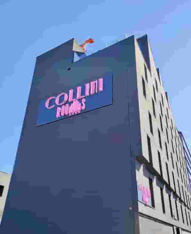 collini suite