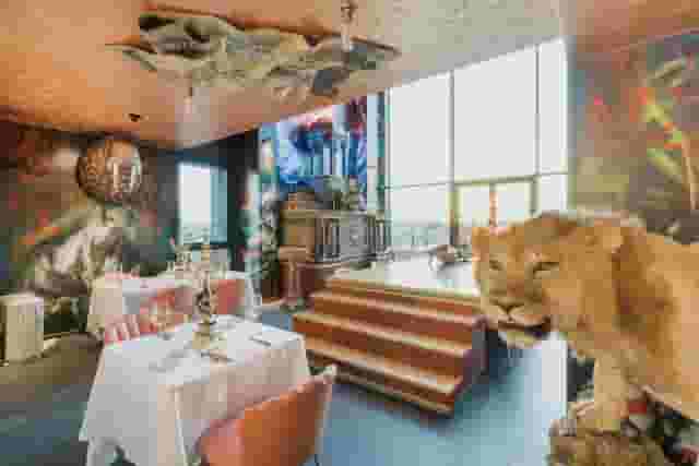 suites