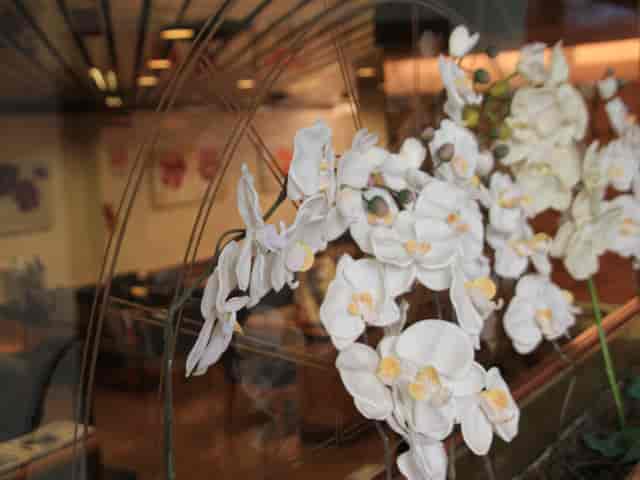 Lido hotel white orchids, event decor