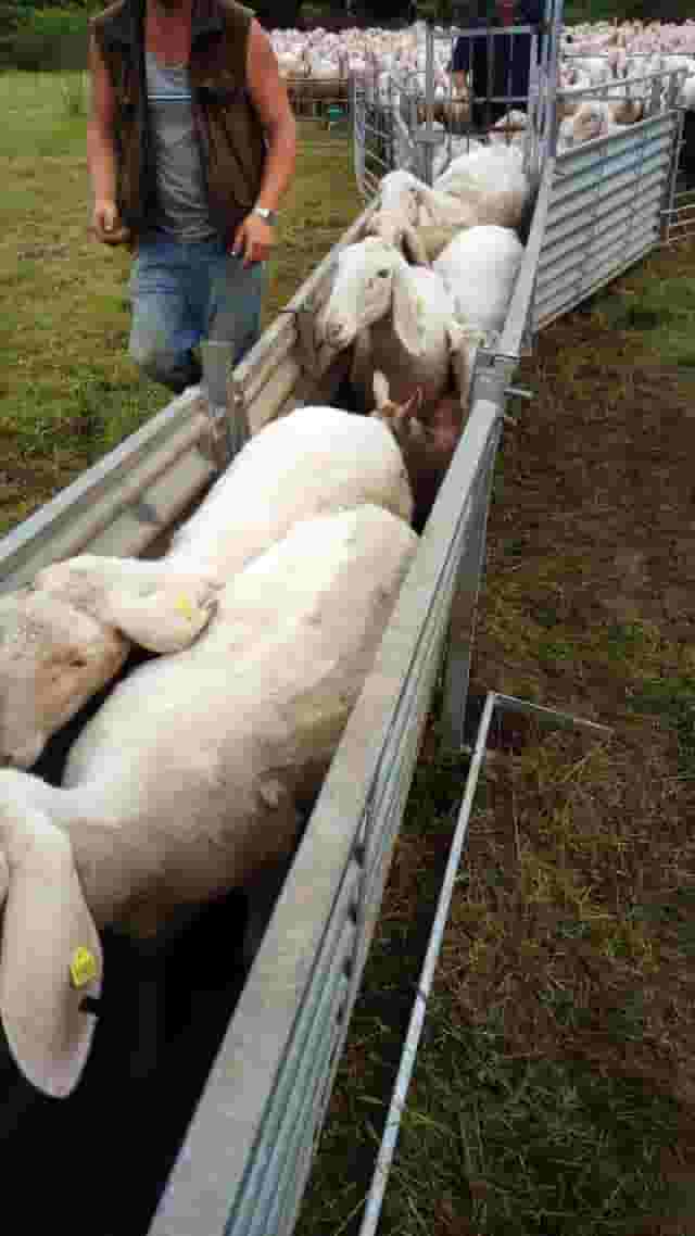 Città del Sud