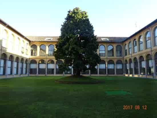 Foto di Fondazione Stelline, Milano ...