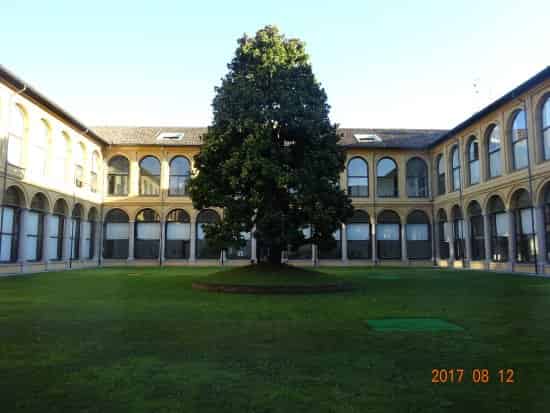 Chiostro della Magnolia