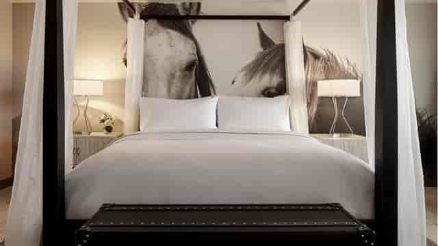 Austin equestrian VIP suite event Archer Hotel