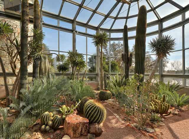 Desert Greenhouse
