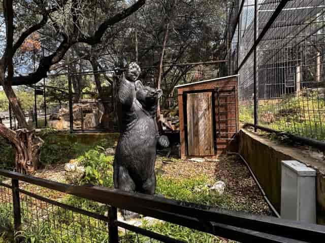 Austin Zoo event venue, rustic, corporate retreats
