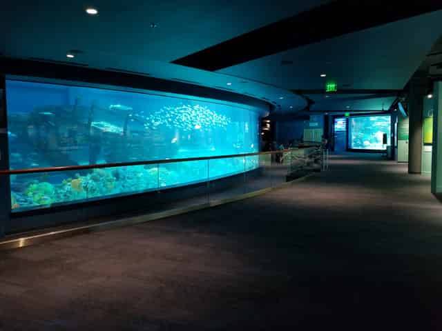 H-E-B Caribbean Shark Exhibit