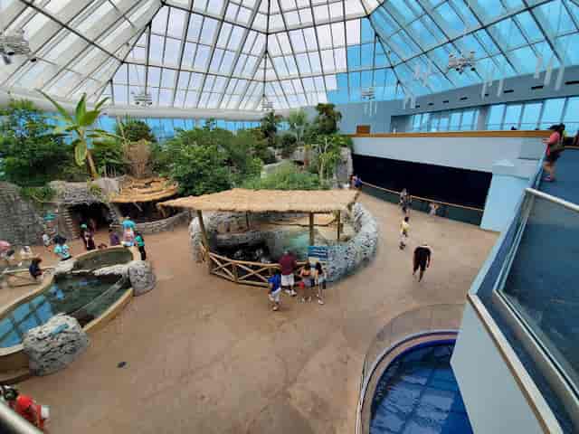 Texas State Aquarium - Hero Image