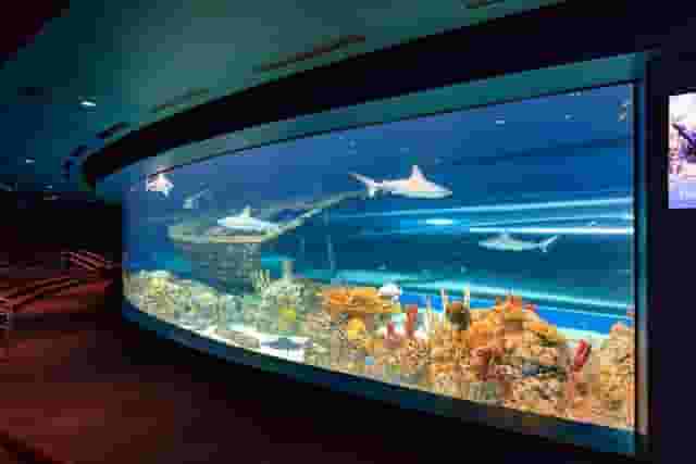 Gulf of Mexico Experience
