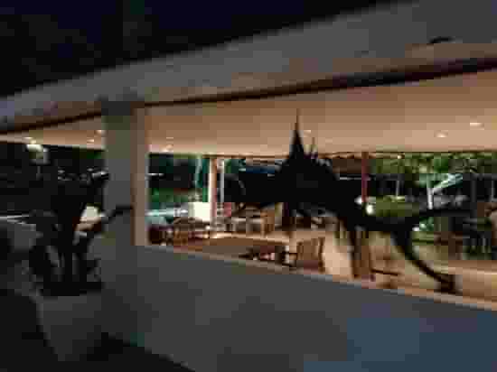 Outdoor Deck