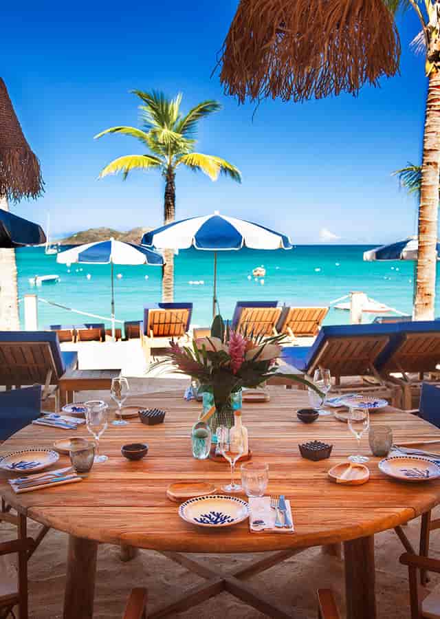 Beachfront Chef's Table event, turquoise water, palms.