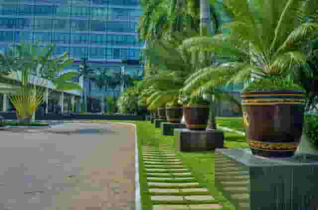 Garden areas