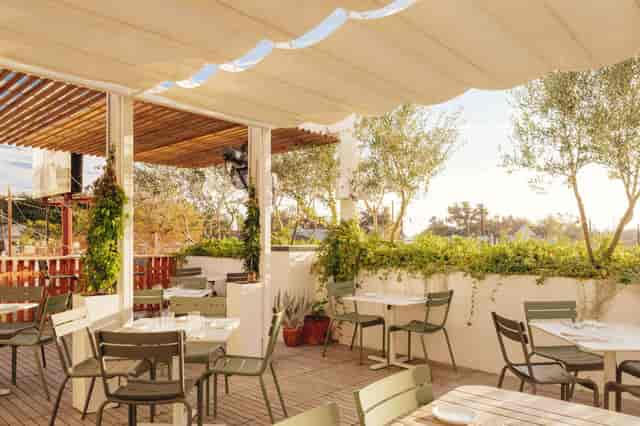 Paperboy Patio: Outdoor event, modern seating, al fresco dining