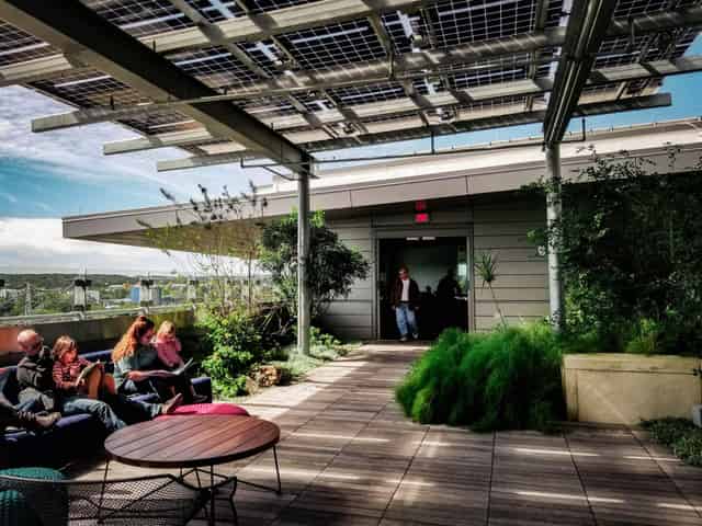 Rooftop garden
