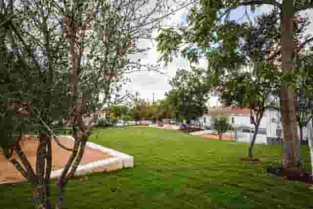 Lawn