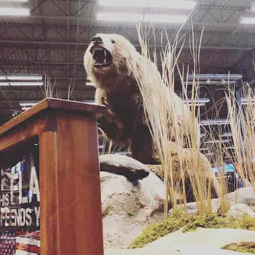 Westgate Resorts - Hero Image