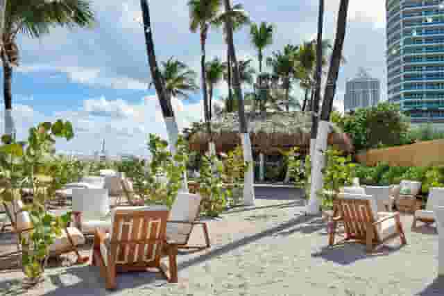 Royal Palm Room