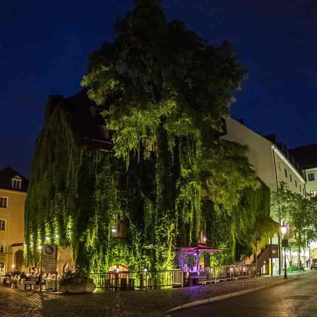 Pfistermühle Restaurant, green facade, outdoor event venue