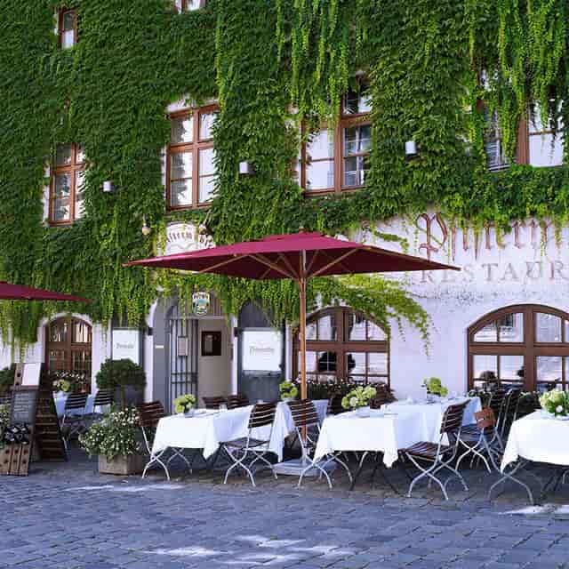 Restaurant Pfistermühle: Ivy terrace, outdoor dining, event venue