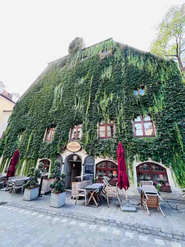 Historic restaurant terrace ivy-covered seating boutique events